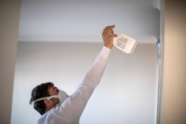 Best Post-Flood Mold Remediation in Five Points, OH